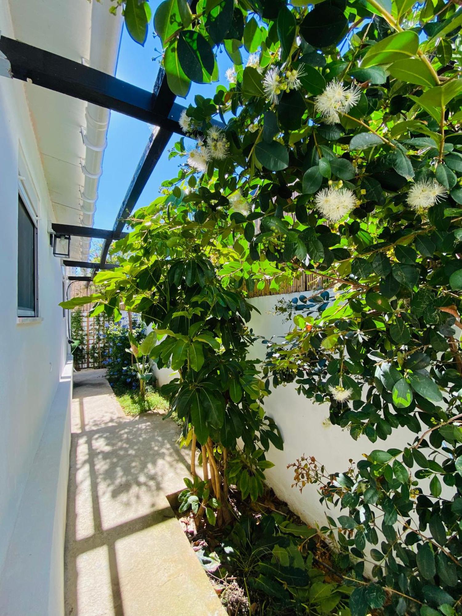 Gem Of Viso Villa Setúbal Eksteriør billede